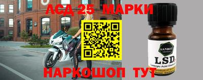 стафф Гатчина