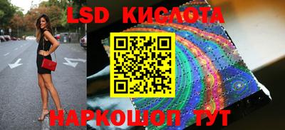 стафф Гатчина