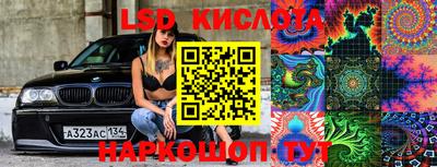стафф Гатчина