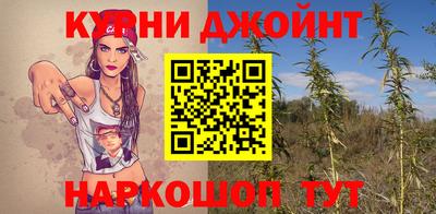стафф Гатчина
