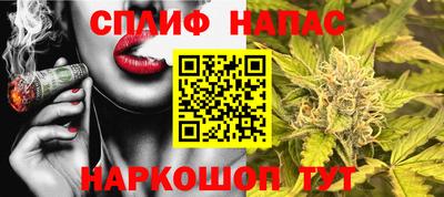 стафф Гатчина