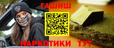 стафф Гатчина