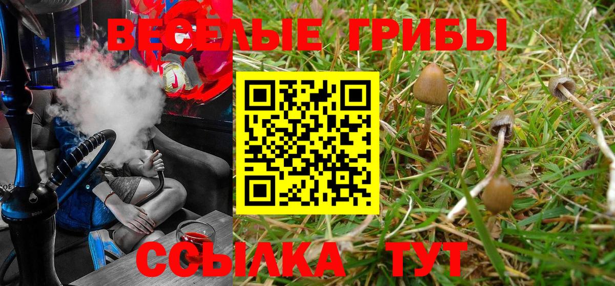 Псилоцибиновые грибы мицелий  закладки  Галлюциногенные грибы Magic Shrooms  Мурино  Вход с VPN 