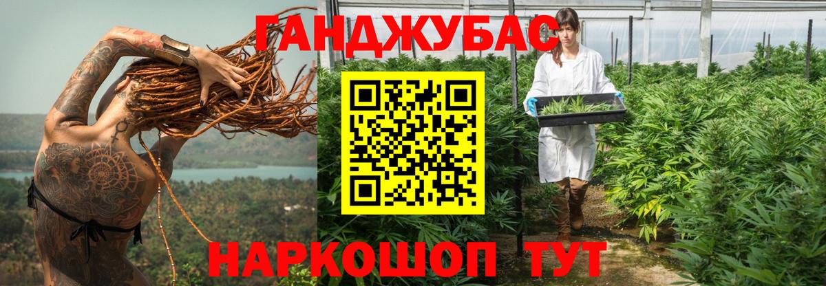 Конопля сатива Мурино